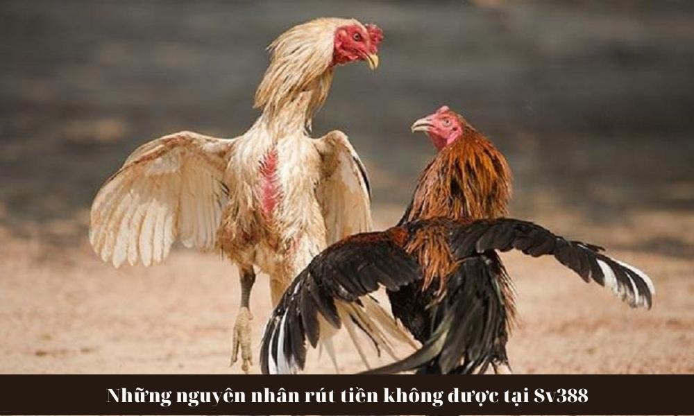 Các vấn đề thường gặp khi rút tiền từ sv388 Các vấn đề thường gặp khi rút tiền từ sv388