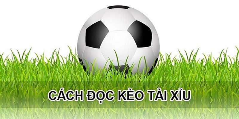 Cách đọc kèo bóng đá tài xỉu