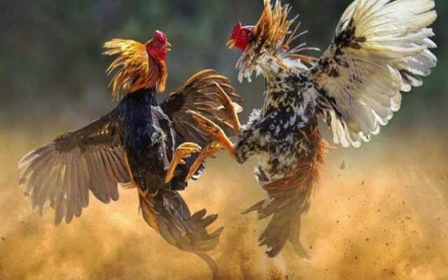 Sử dụng quy luật ngũ hành tương khắc, tương sinh