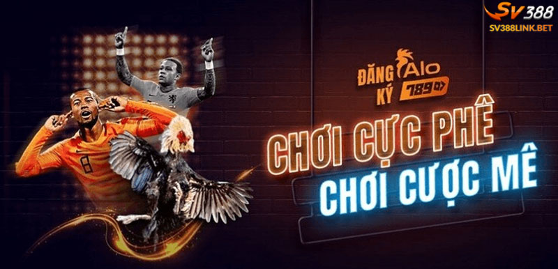 Đá gà alo789 mang lại nhiều thắng lợi