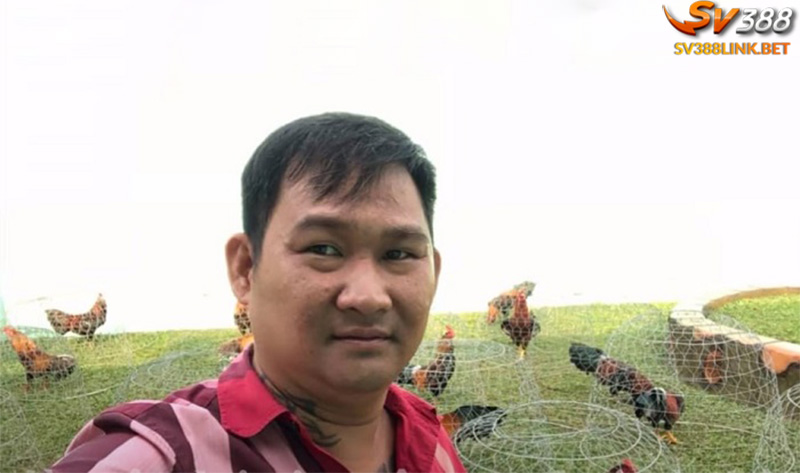 Mít Trà Cú sự nghiệp nuôi chiến kê