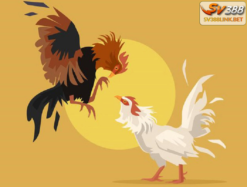 Sv388 đá gà cựa sắt là gì?