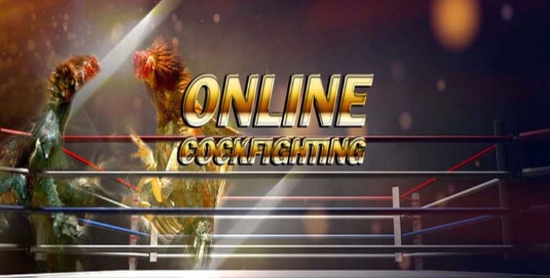 Nhà cái SV388 cung cấp đa dạng các hình thức giải trí giúp người chơi thoải mái lựa chọn