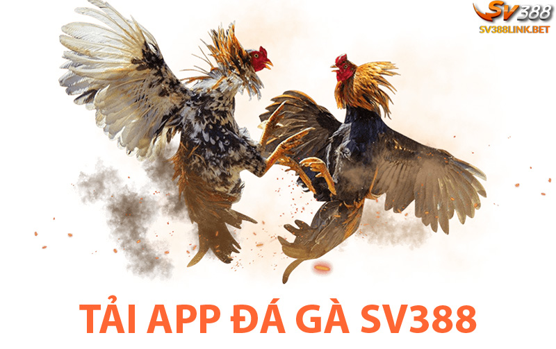 Tải app đá gà sv388[