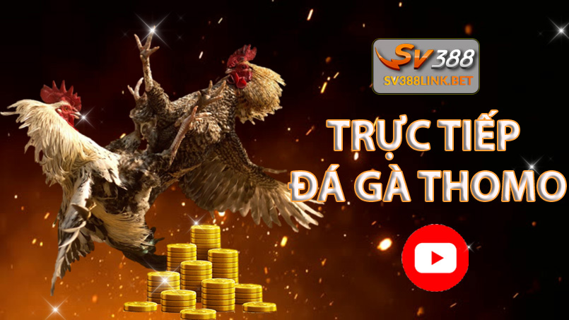 truc-tiep-da-ga-thomo-sv388