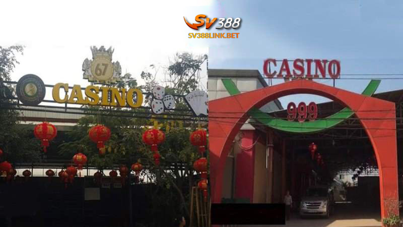 Trường gà Út Tráng