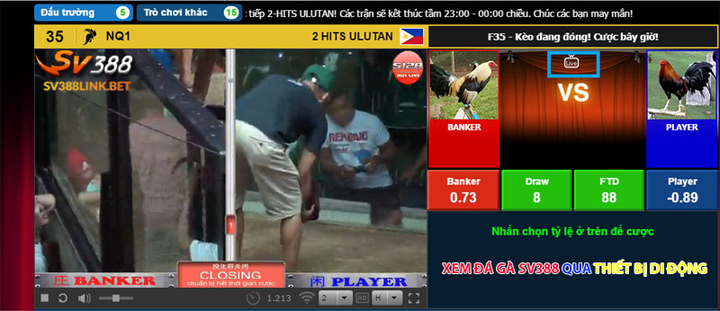 Xem đá gà tiện lợi vô cùng qua các thiết bị điện tử